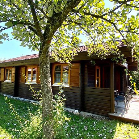 Ferienhaus Bruckner Hayingen Lauterdoerfle Exterior photo